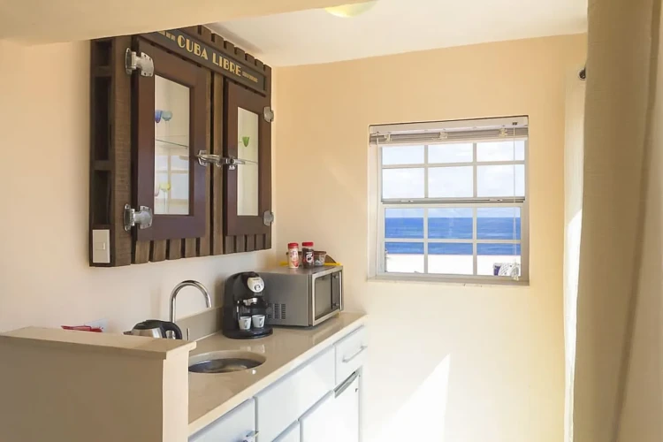RHCH01 - 1 Yatak Odalı / 1 Banyolu Çatı Katı Tropikal Orta Havana