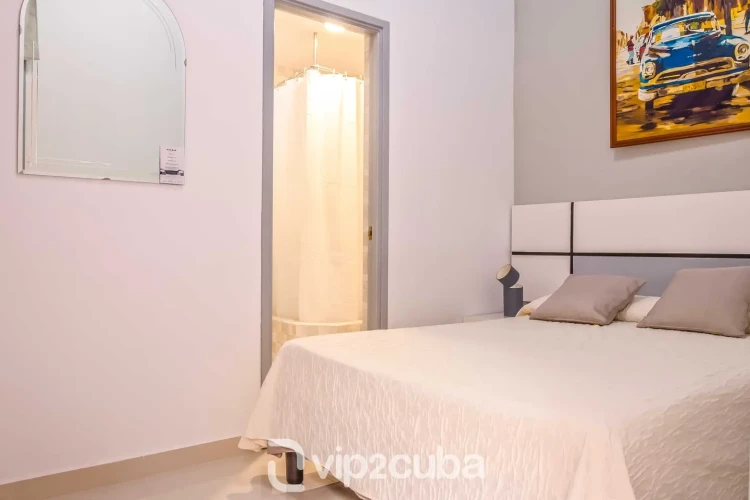 RHHV48 - 7 Yatak Odalı / 7 Banyolu Casa Baobao Eski Havana