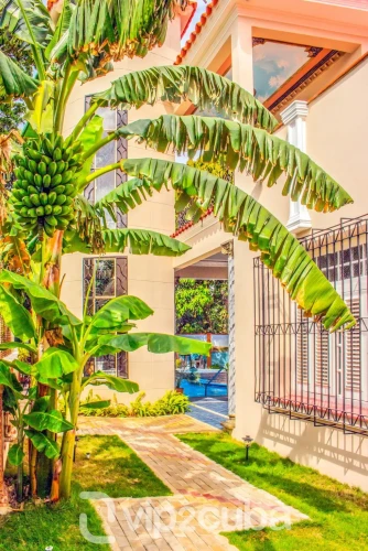 RHPL178 - 7 Yatak Odalı / 9 Banyolu Lüks Villa Costa Havuzlu / wifi