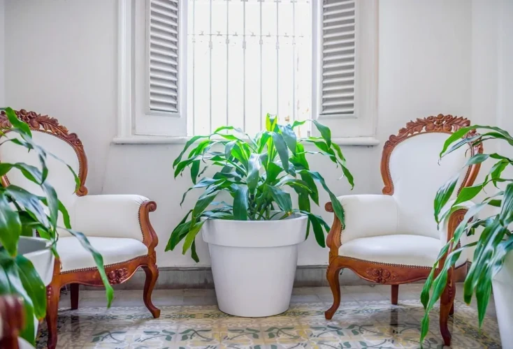 RHPLZ06-1 - 5 Yatak Odalı / 5 Banyolu Vedado Büyüleyici Koloni Villa/Wi-Fi