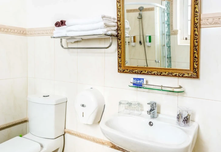 RHPLZ179 - 8 Yatak Odalı / 8 Banyolu Butik Otel Art Deco/wifi