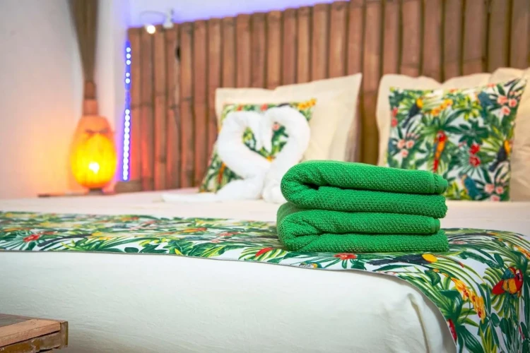 RHPLZ196 - 8Yatak Odalı / 8 Banyolu Elegancia Butik Otel Vedado