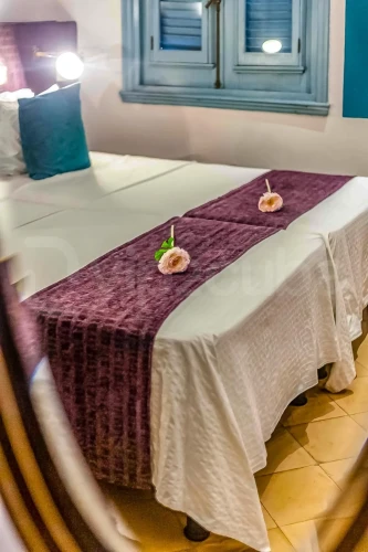 RHPLZ198 Art Oasis Butik Otel, Vedado