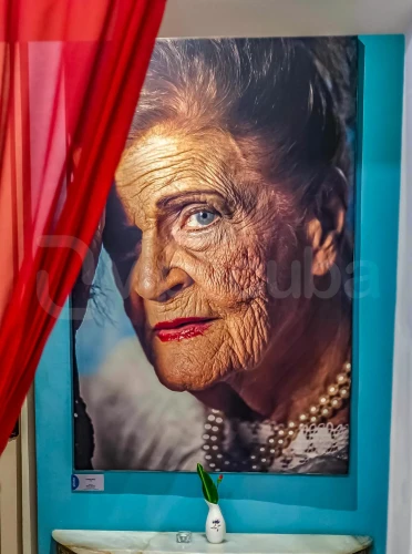 RHPLZ198 Art Oasis Butik Otel, Vedado