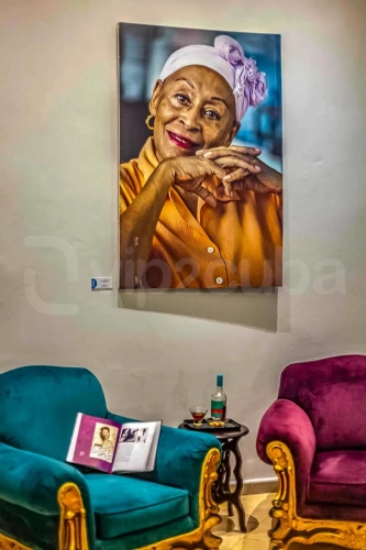 RHPLZ198 Art Oasis Butik Otel, Vedado