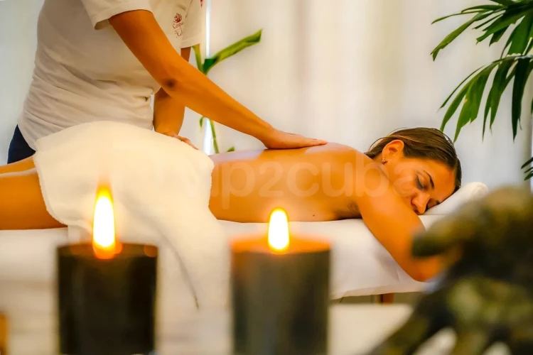 RHPLZ198 Art Oasis Butik Otel, Vedado