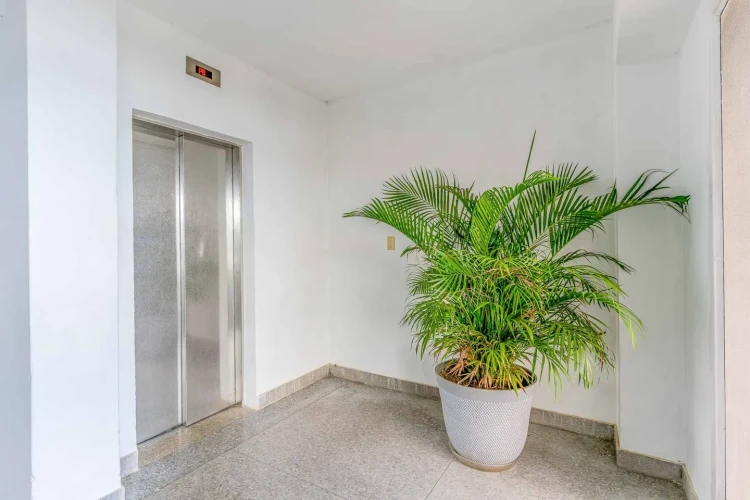 RHPL201 - 4 Yatak Odalı / 4 Banyolu Çatı Katı Cefiro, Miramar